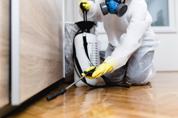 Best Local Pest Control Services  in Farmersville, TX