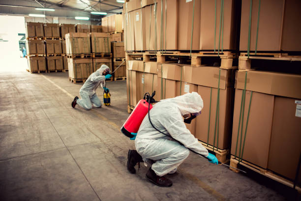 Best Mosquito Control Services  in Farmersville, TX