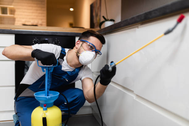 Trusted Farmersville, TX Pest Control Experts