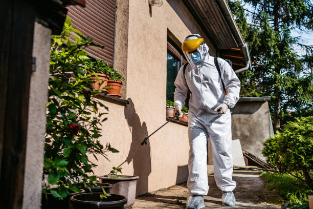 Best Pest Removal Services  in Farmersville, TX