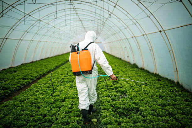 Best Affordable Pest Control Services  in Farmersville, TX