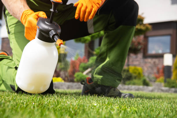 Best Bed Bug Extermination  in Farmersville, TX