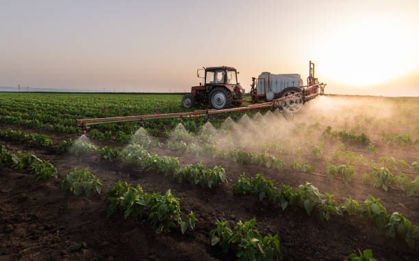 Best Spider Control Near Me  in Farmersville, TX