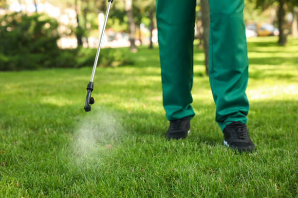 Best Exterminator Services  in Farmersville, TX