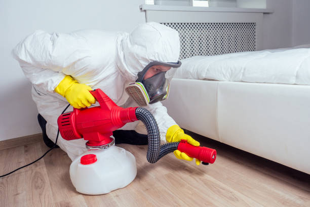 Wasp Removal Services in Farmersville, TX