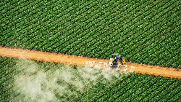 Pest Control Cost in Farmersville, TX