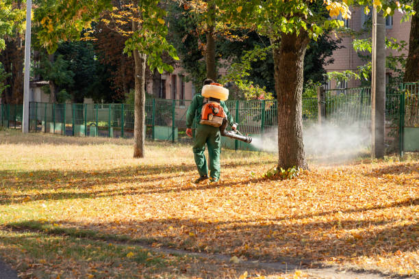 Best Rat Extermination Near Me  in Farmersville, TX