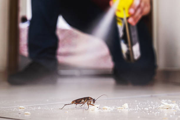  Farmersville, TX Pest Control Pros