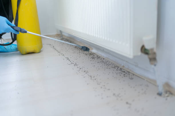 Best Bed Bug Extermination  in Farmersville, TX