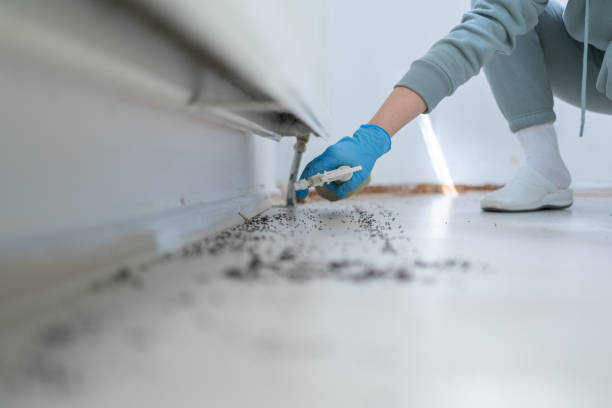 Best Local Pest Control Services  in Farmersville, TX