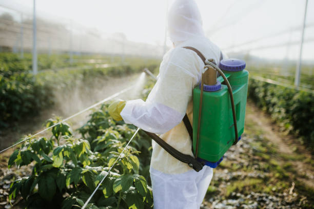 Best Best Pest Control Companies  in Farmersville, TX